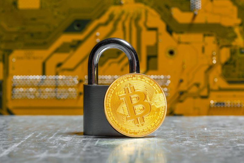 2025’s Best Privacy dApps for Blockchain Protection
